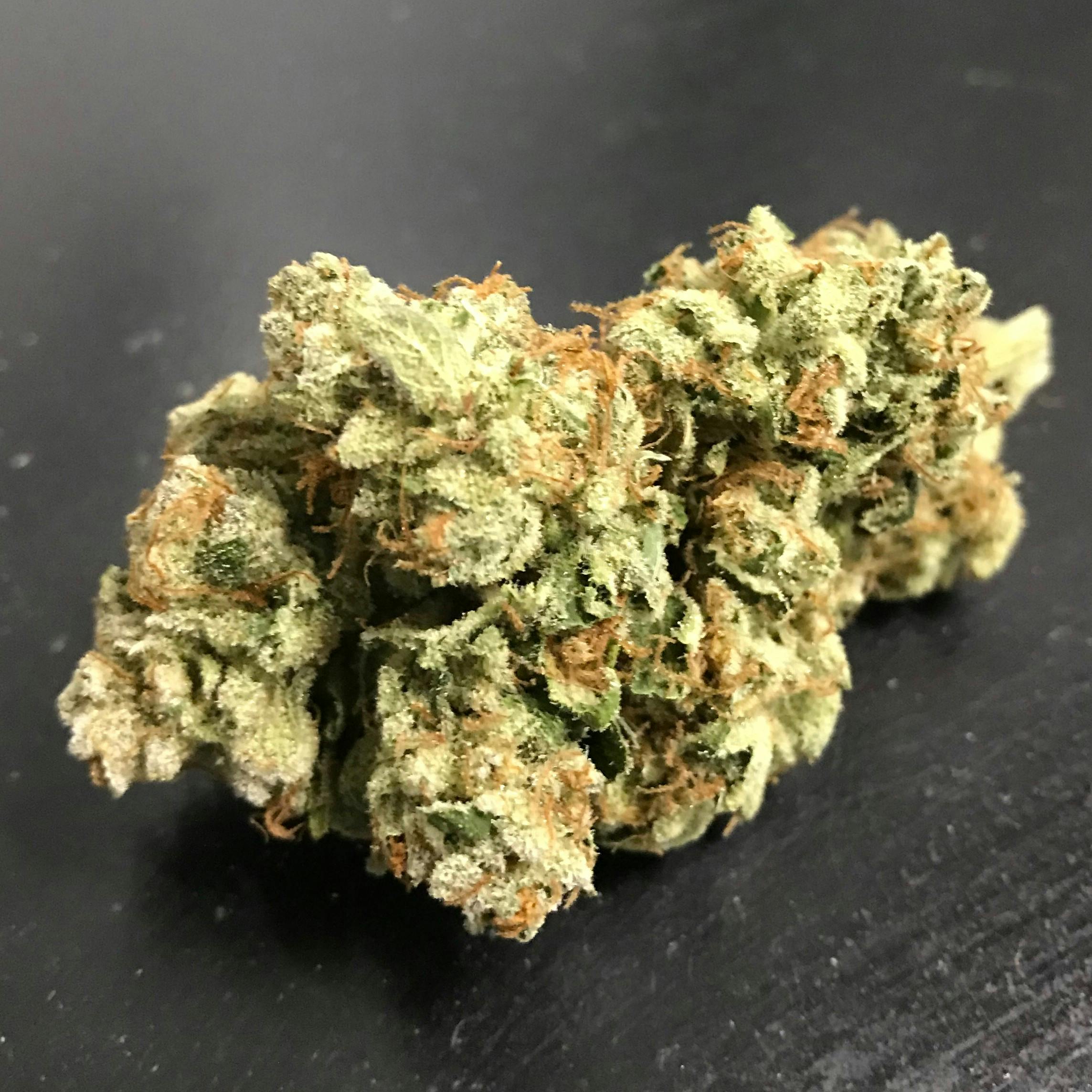 Alaskan Blooms Electric Lemon Leafly